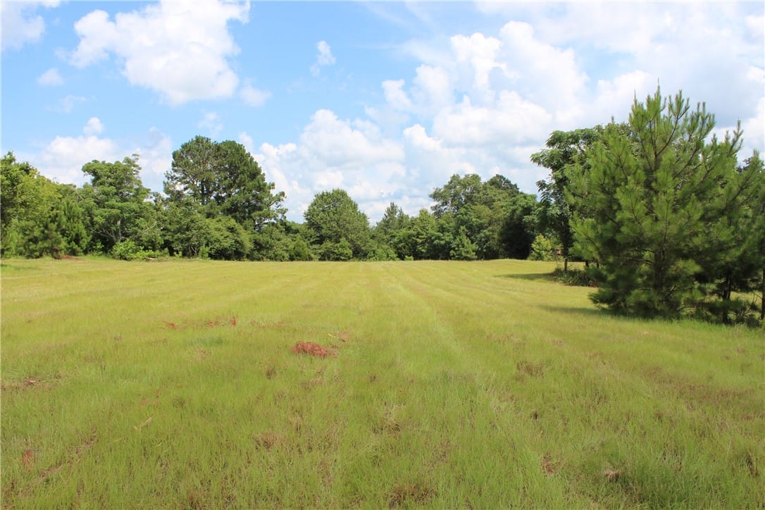 0 Brooks Rd, Phenix City, AL 36870, A tranquil, spacious grassy field awaits your futu