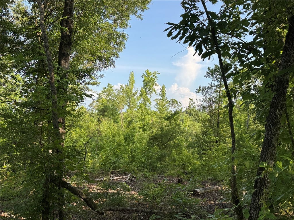 0 TRIMBLE, Camp Hill, AL, 36850 — Photo 3