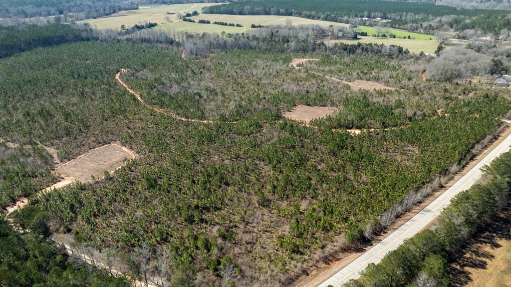 0 (Lot 3B) Highway 0018, Pine Mountain, GA, 31822