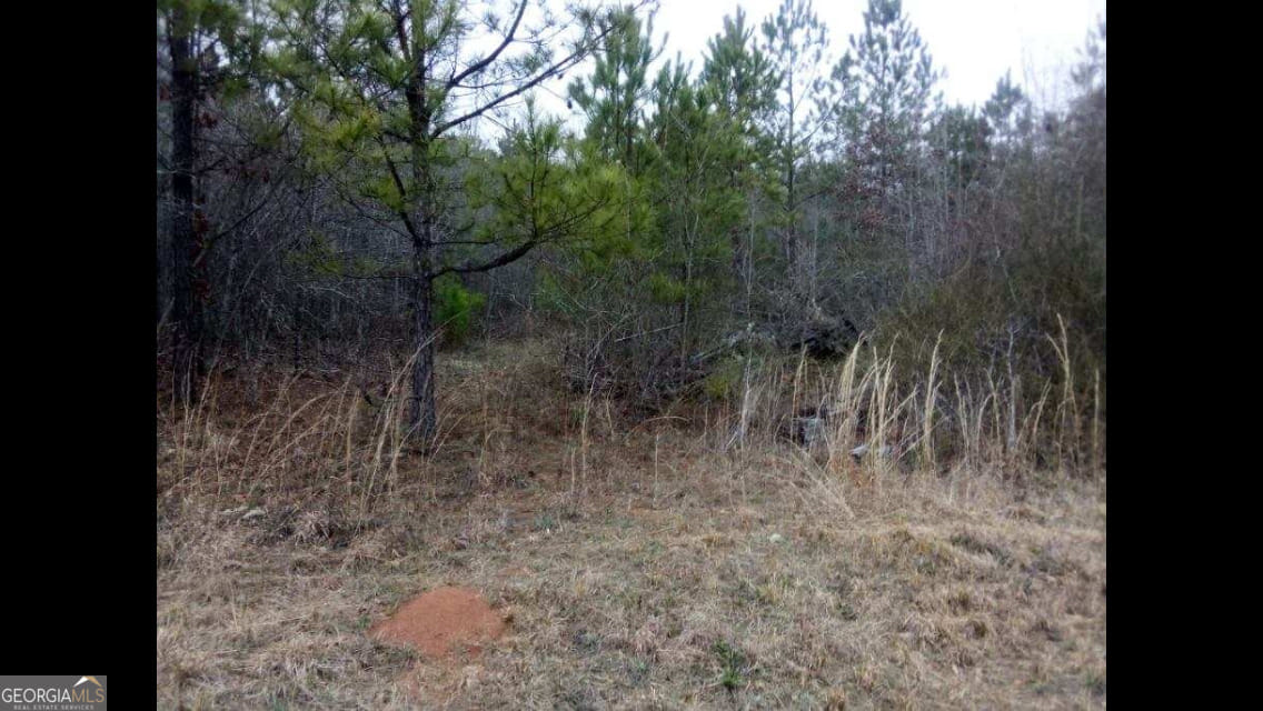 002 Old Woodbury, Woodbury, GA, 30293