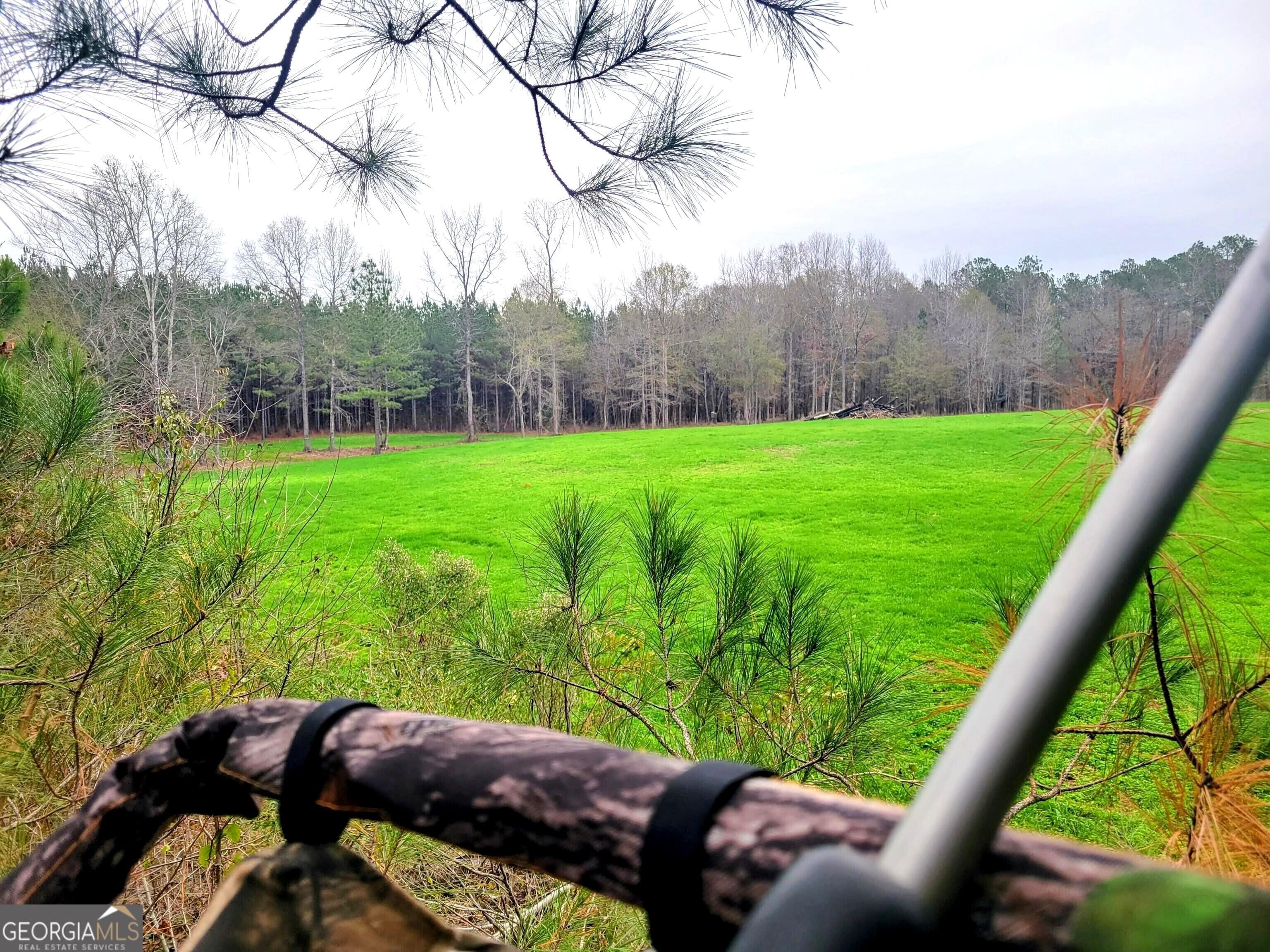 80 Highway, Culloden, GA, 31016