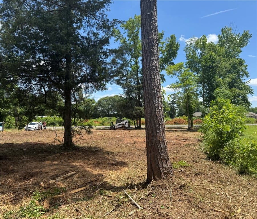 LOT 58 LEE ROAD 266, Cusseta, AL, 36852 — Photo 2