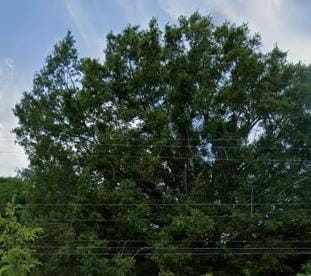 2025 Schatulga Road, Columbus, GA, 31907