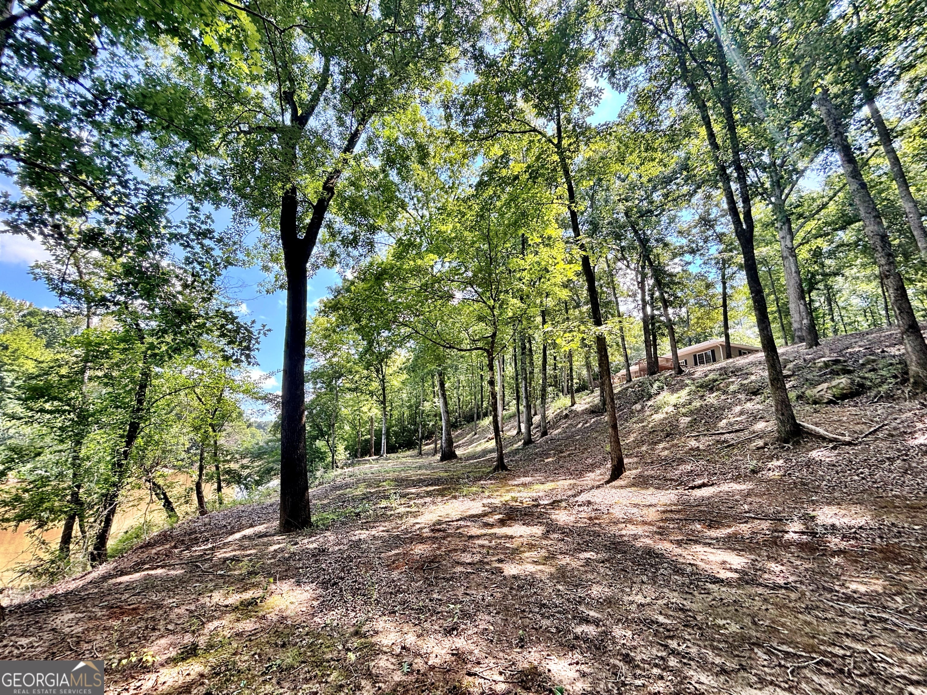 8502 U.S. 19, Culloden, GA, 31016