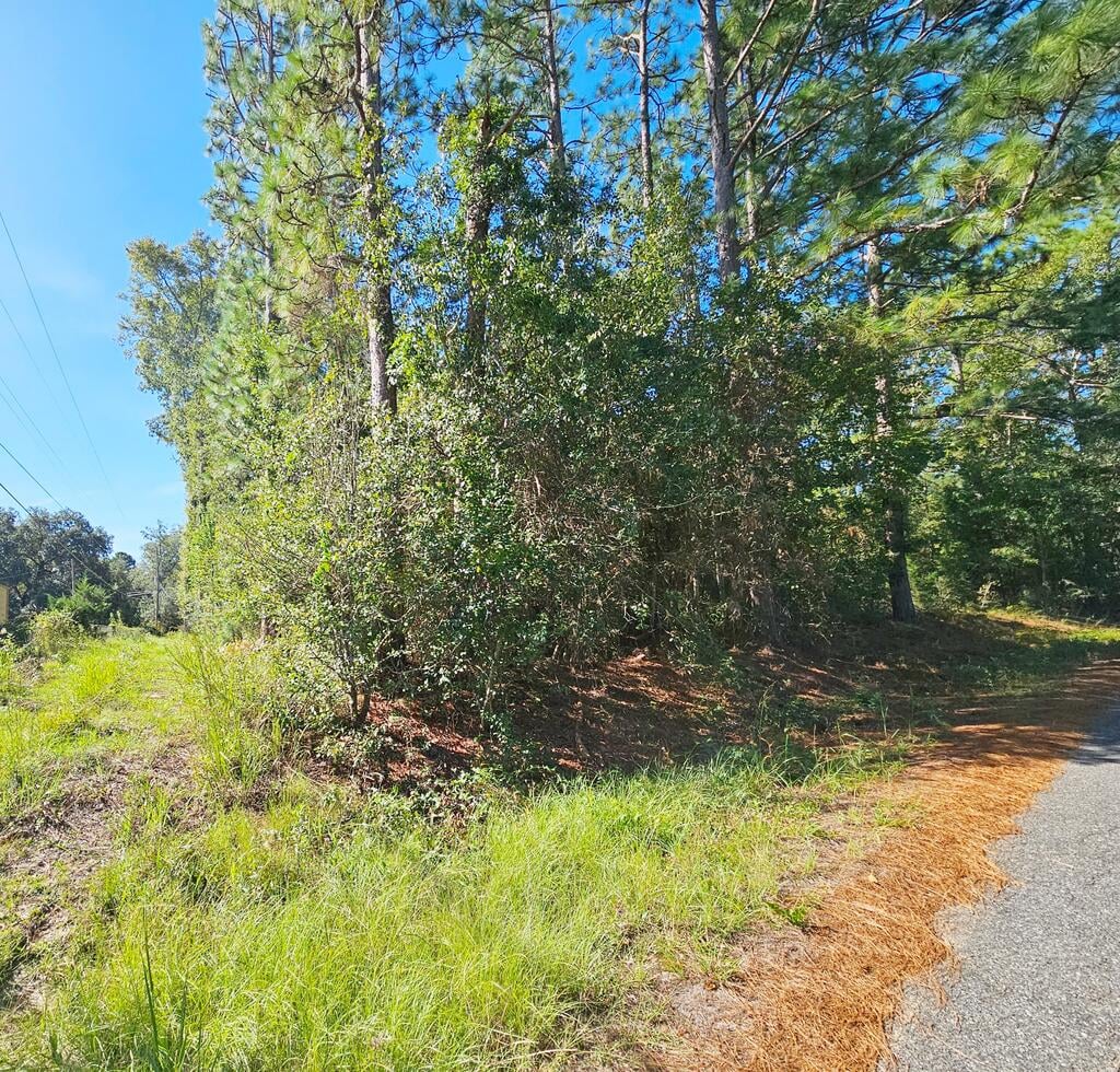 6114 Poplar Road, Albany, GA, 31705