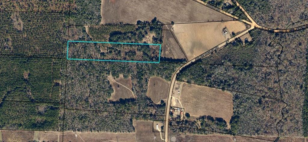 0000 Wilkie Mosley Road, Blakely, GA, 39823