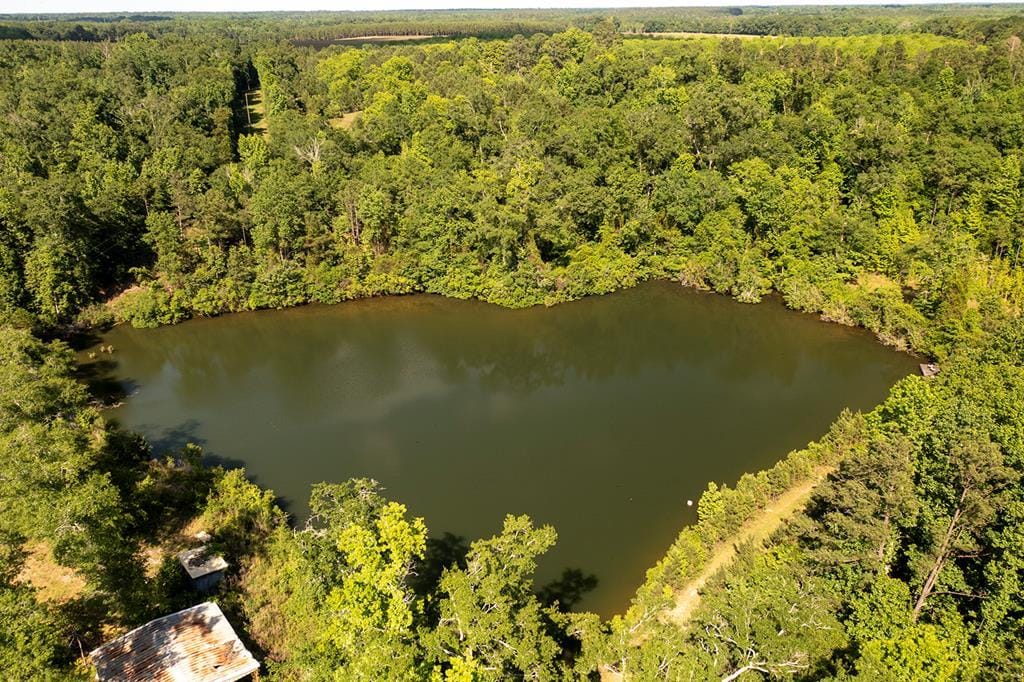 262X Hwy 216, Cuthbert, GA, 39840 — Photo 3