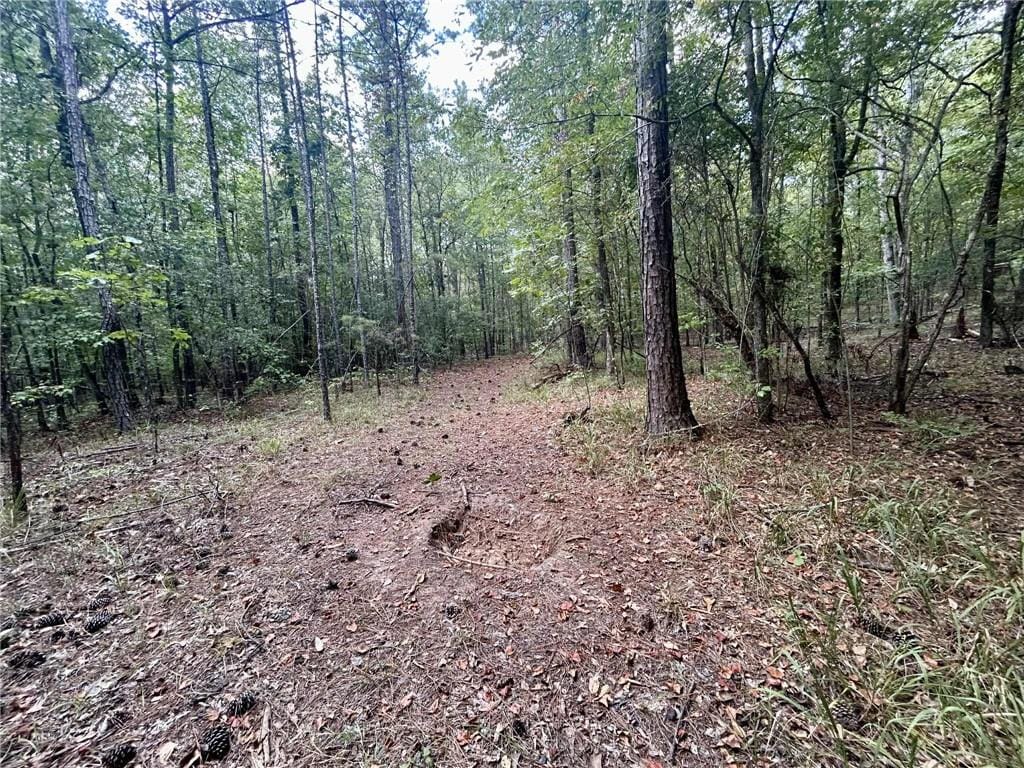 0 Freeman Road, Phenix City, AL, 36879 — Photo 2