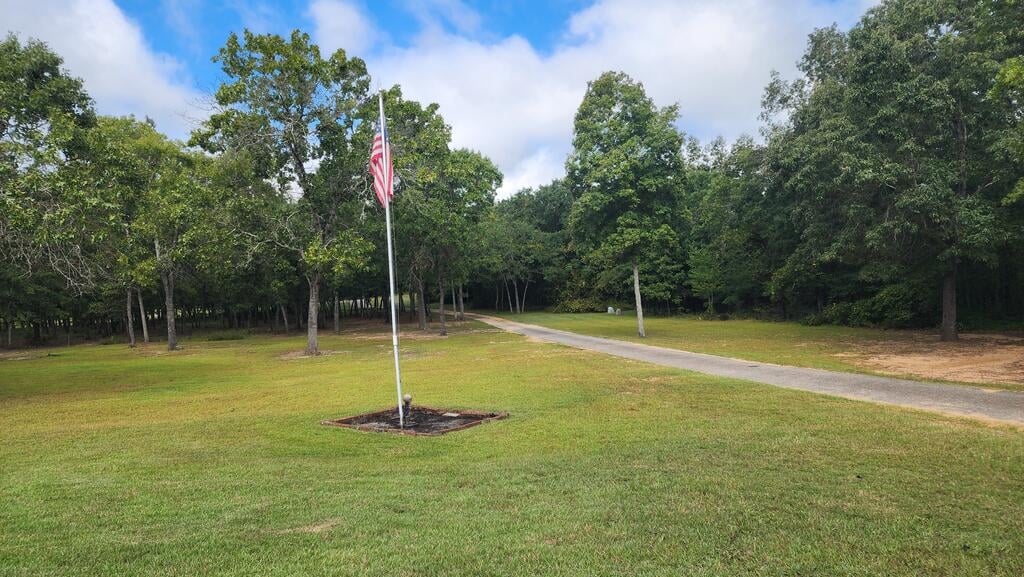 129 Michelle Ln, Buena Vista, GA 31803