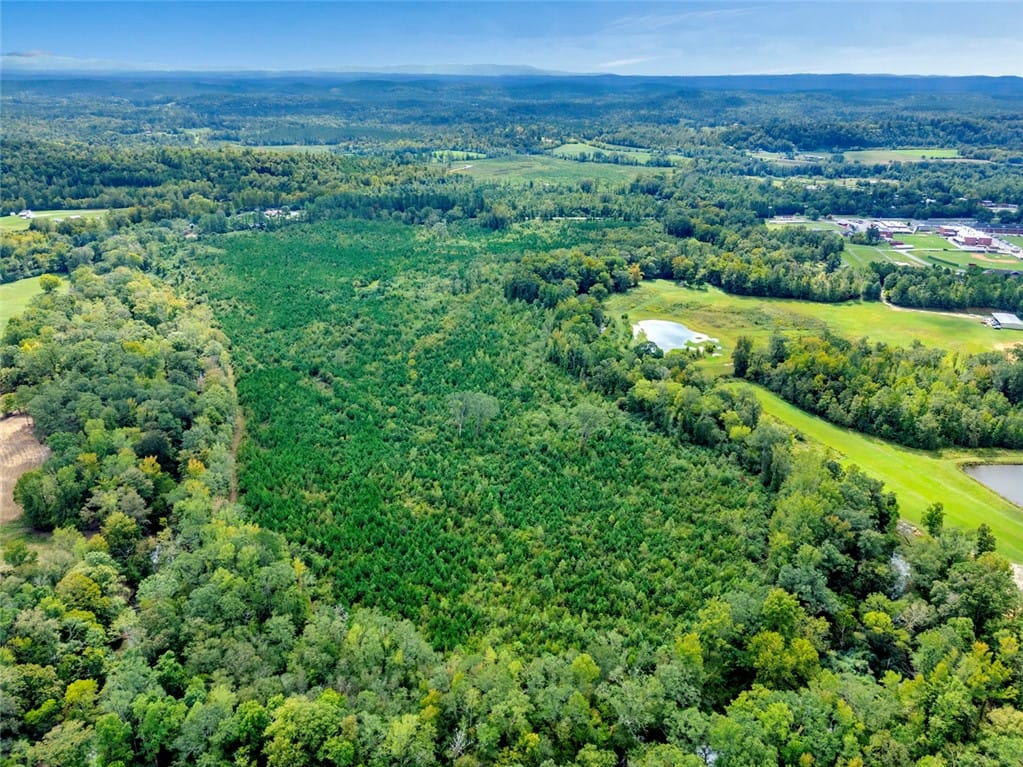 0 Warrior Road, Ohatchee, AL, 36271