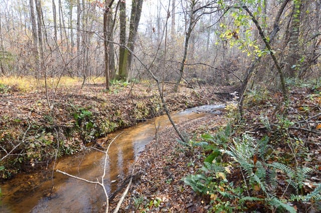 0 Mountain Road, Hamilton, GA, 31811