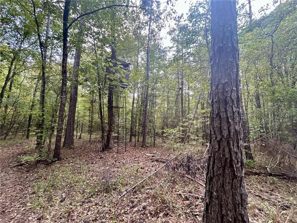 0 Freeman Road, Phenix City, AL, 36879 — Photo 3