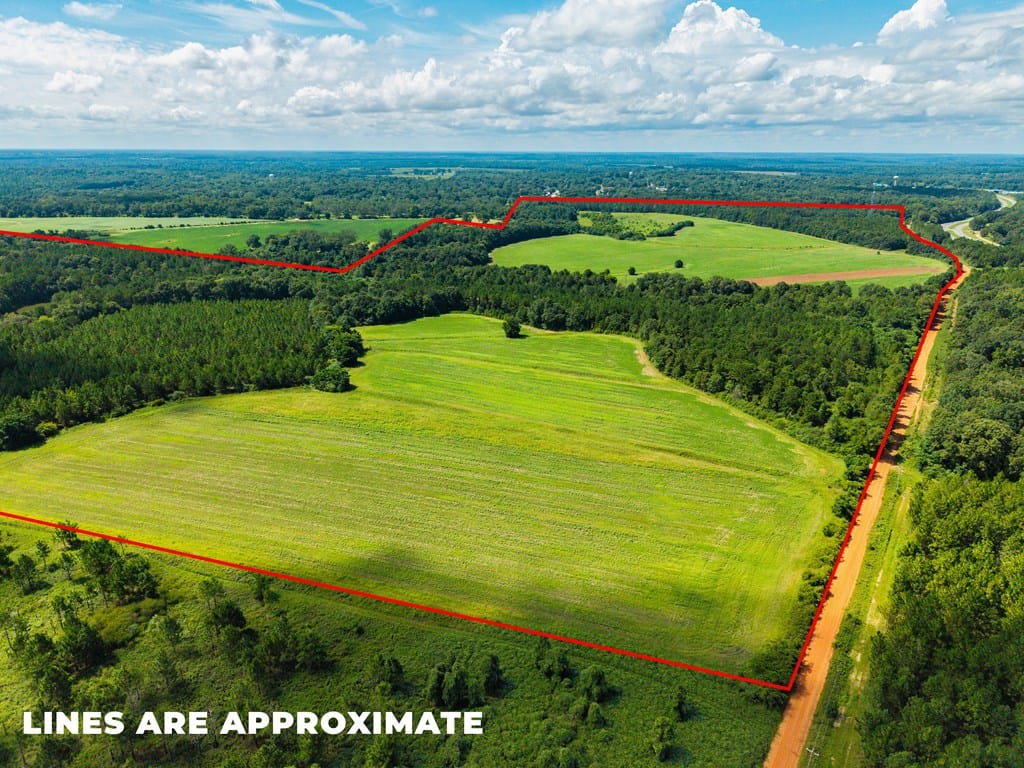 266 +/- AC Loven Mill Rd, Richland, GA, 31825, 20 acre field