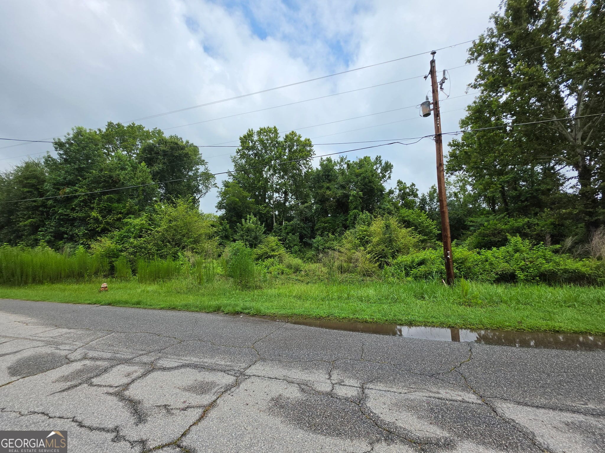 0 Broad St, Warm Springs, GA 31830