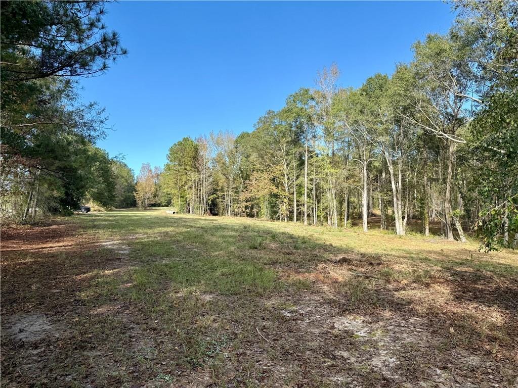 365 US HWY 169 South, Seale, AL, 36875 — Photo 3