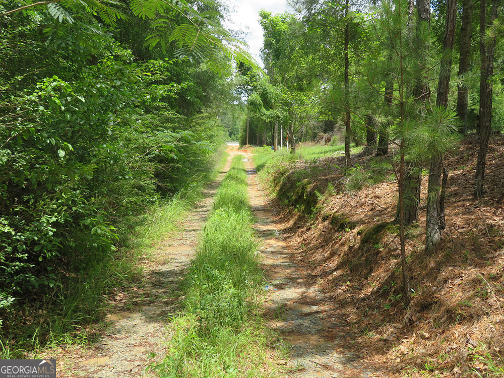 0 Louise Bell, Lumpkin, GA, 31815