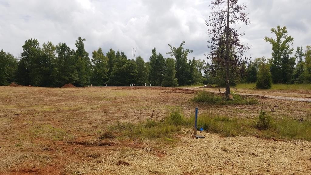 90 Bransford Lane, Ellerslie, GA, 31807