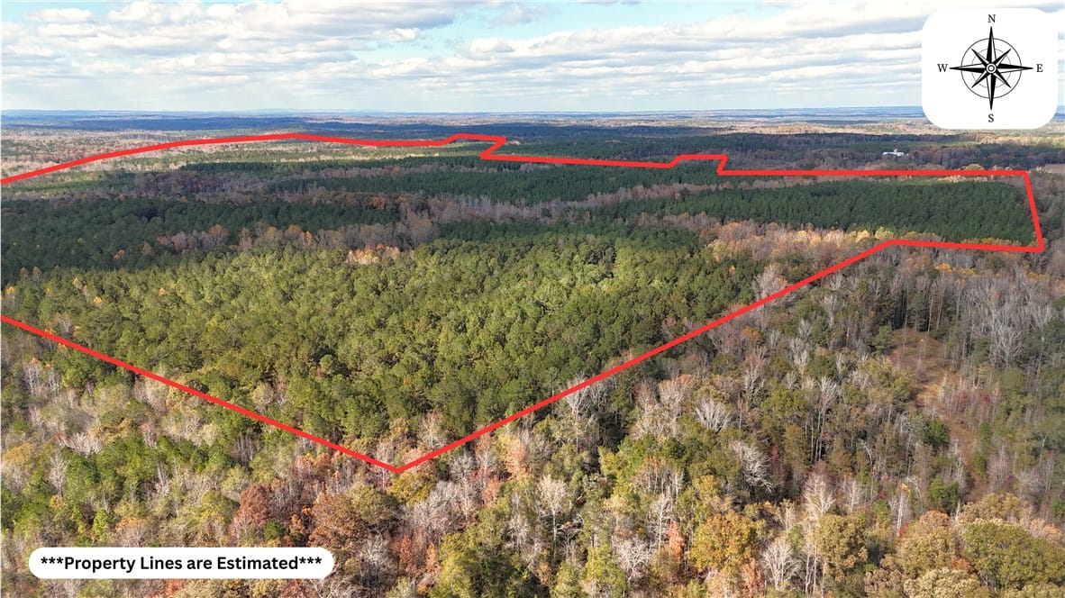 407 COUNTY ROAD 258, Five Points, AL, 36855 — Photo 2