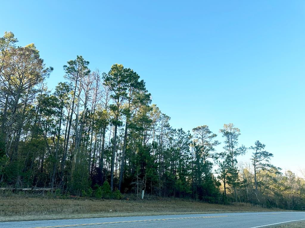 1051 Highway 0039, Georgetown, GA, 39854