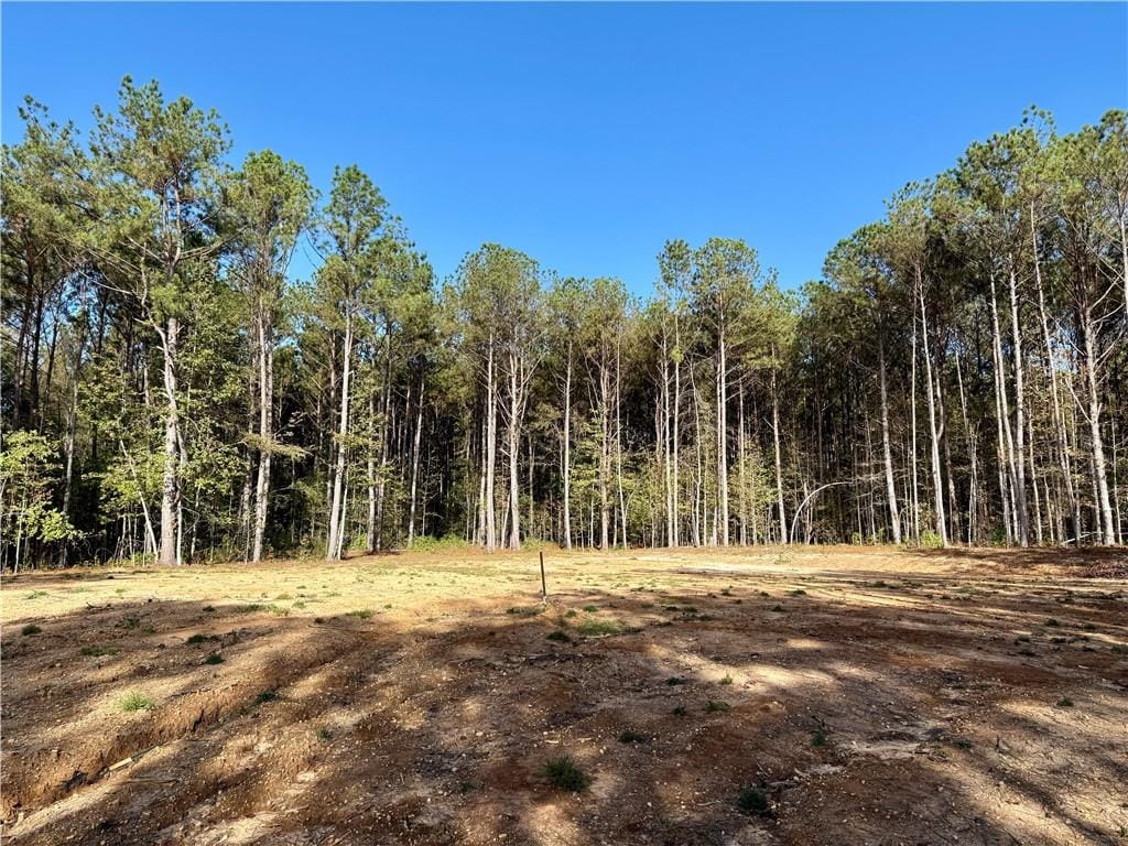 365 US HWY 169 South, Seale, AL, 36875 — Photo 2