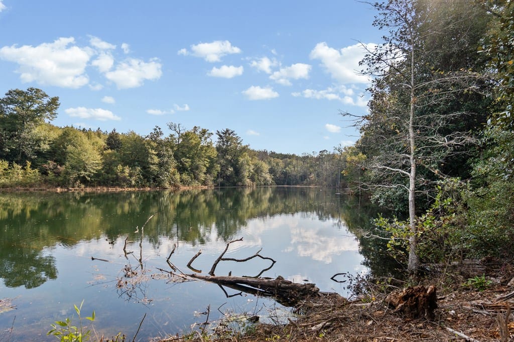 0 Georgia 41, Shellman, GA, 39886 — Photo 3