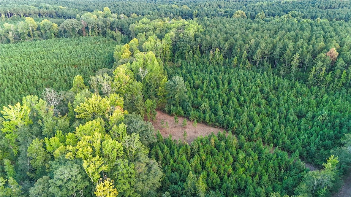 0 COUNTY ROAD 28, Lafayette, AL, 36862, Mature woodlands and dense tree lines envelope thi