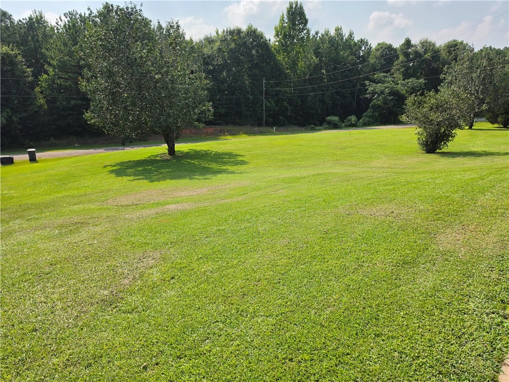 95 TRIMBLE, Camp Hill, AL, 36850