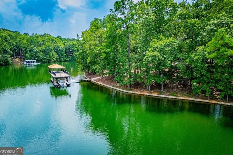 741 Firefly #lot 17 and lot 17a, Lineville, AL, 36266