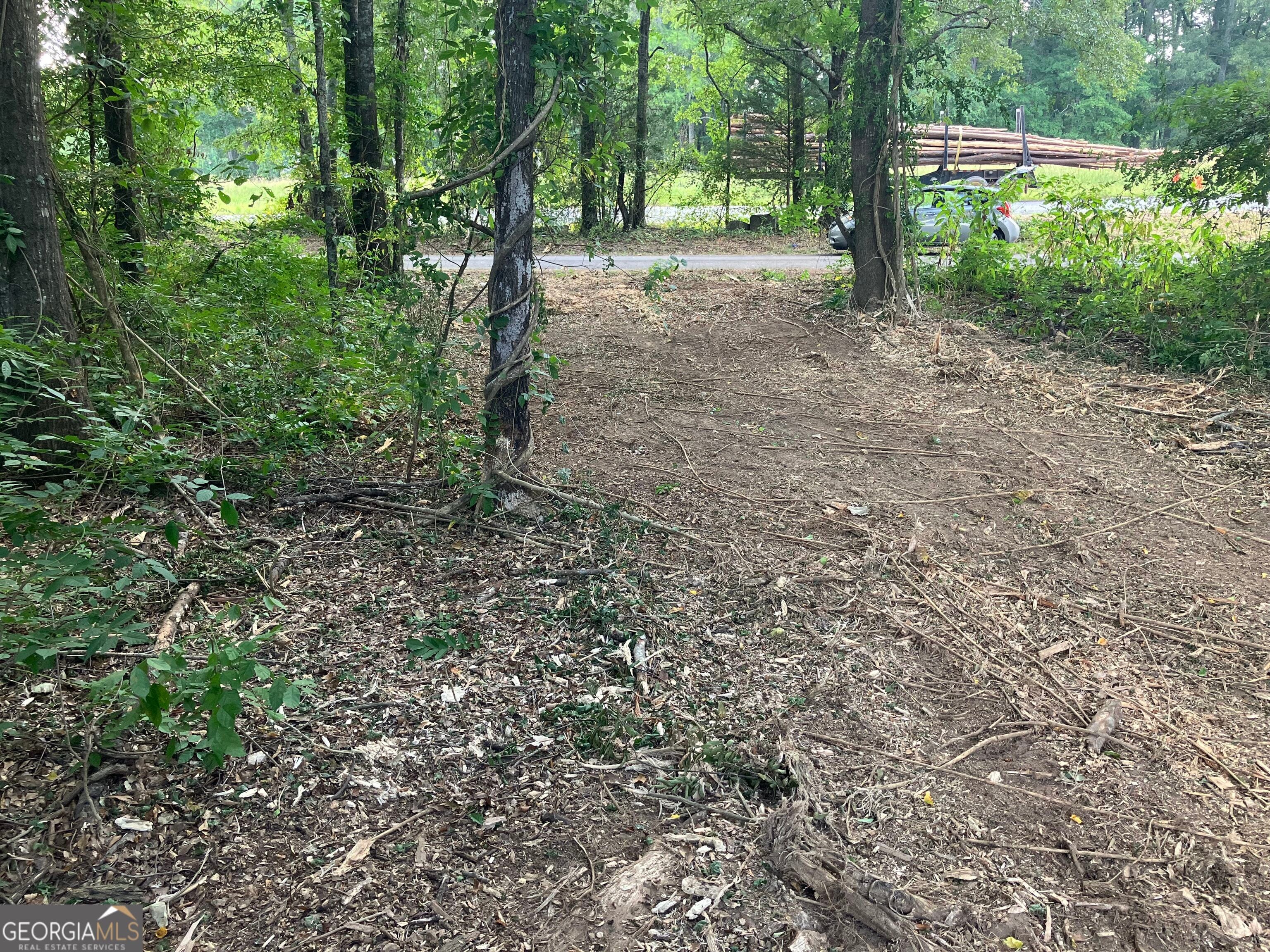 0 Durand, Warm Springs, GA, 31830