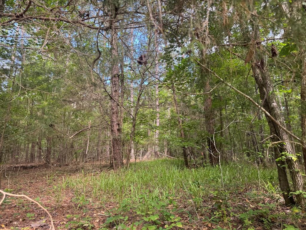 Melody Dr, Waverly Hall, GA 31831