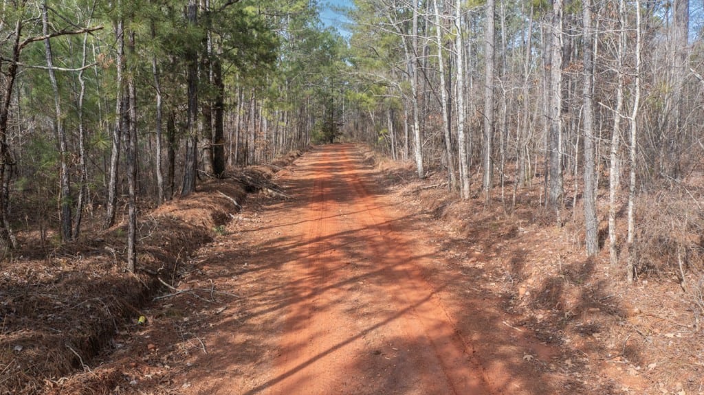 0 Carlisle Road, Woodland, GA, 31836 — Photo 3