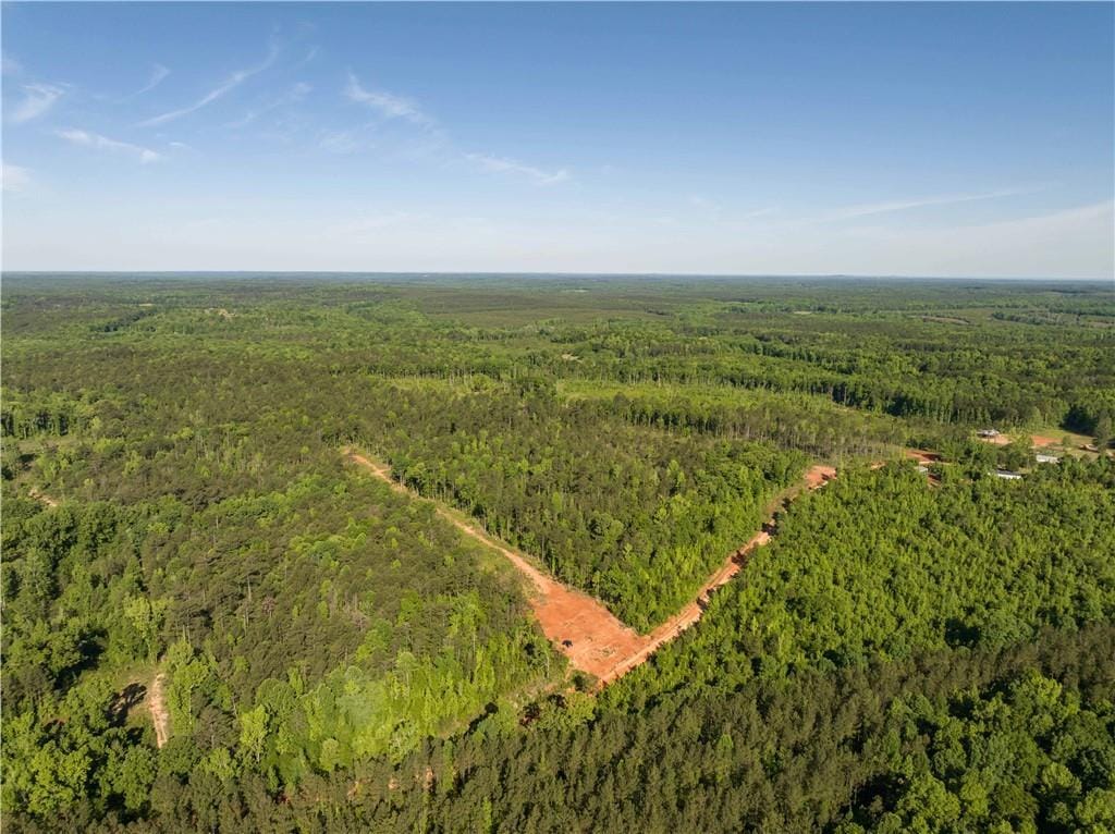 0 Wigdon Road, Opelika, AL, 36801