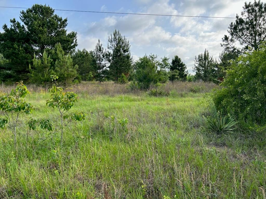 1445 Jimmy Wells Road, Ellaville, GA, 31806