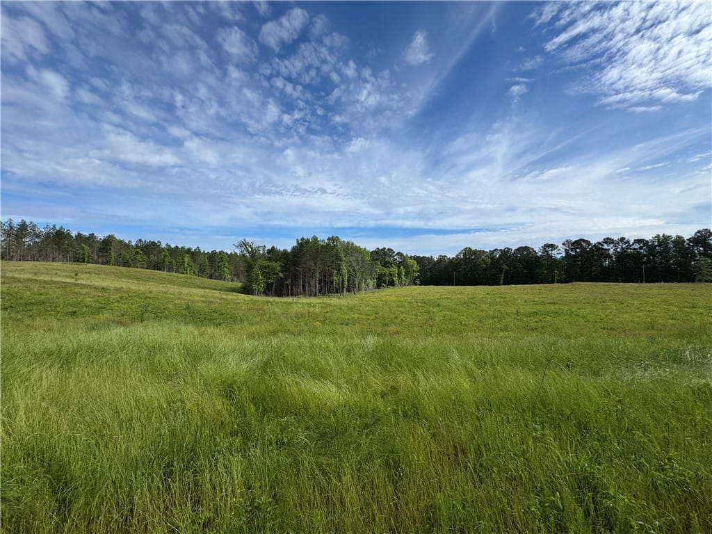 0 COUNTY ROAD 278, Five Points, AL, 36855
