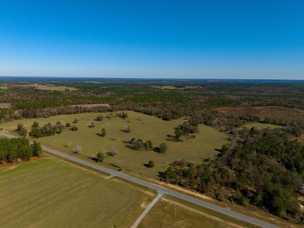 2240 Ga Highway 0090, Mauk, GA, 31058, looking east across property