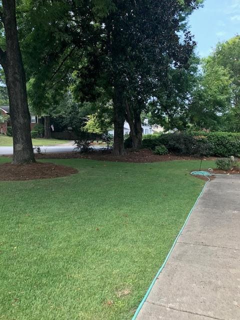 2603 Camille Drive, Columbus, GA, 31906, View of Beautiful Manicured Front Yard