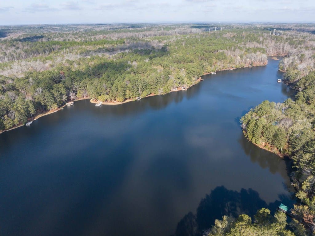 1225 Rocky Shoals Drive, Midland, GA, 31820 — Photo 2