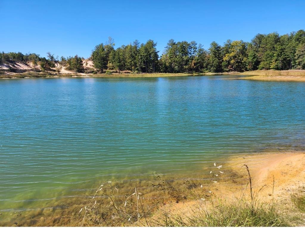 Address Not Disclosed, Junction City, GA, 31812