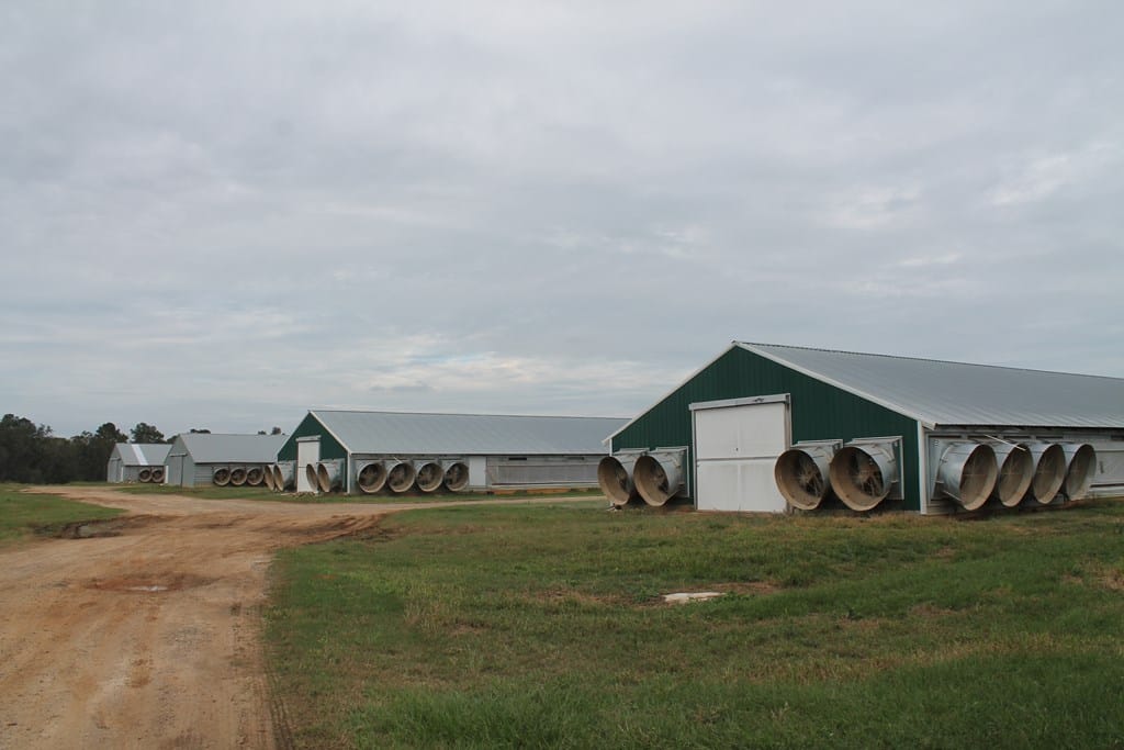 1658 Hickory Head Rd, Quitman, GA 31643, USA