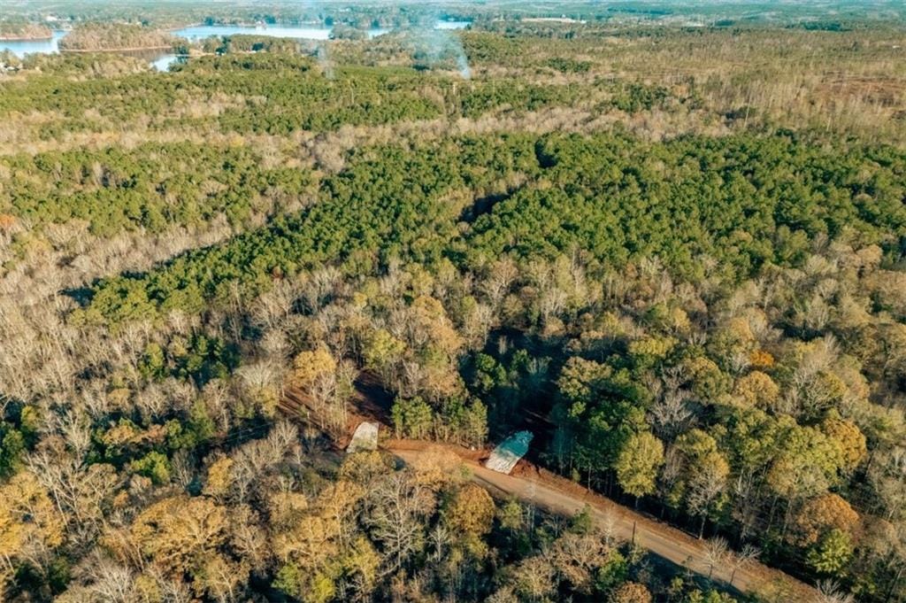 Lot 3 0 Lee Road, Salem, AL, 36874