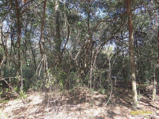 3707 Maryland Circle, Columbus, GA, 31907