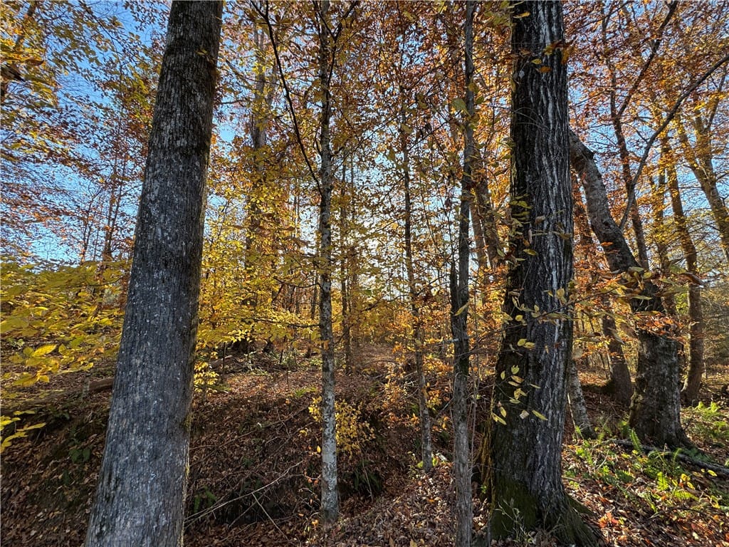 0 GERMANY'S FERRY, Daviston, AL, 36256 — Photo 3