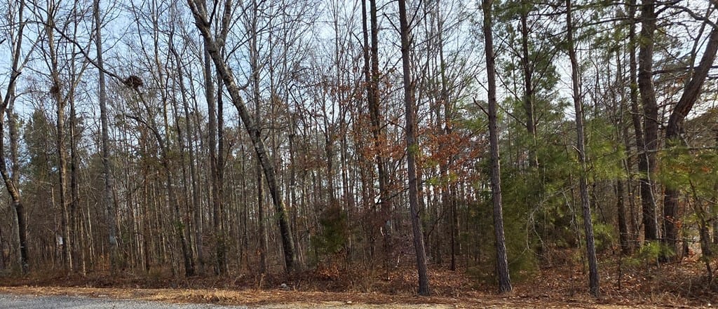 0 Lee Rd #0143, Salem, AL 36874, USA — Photo 2