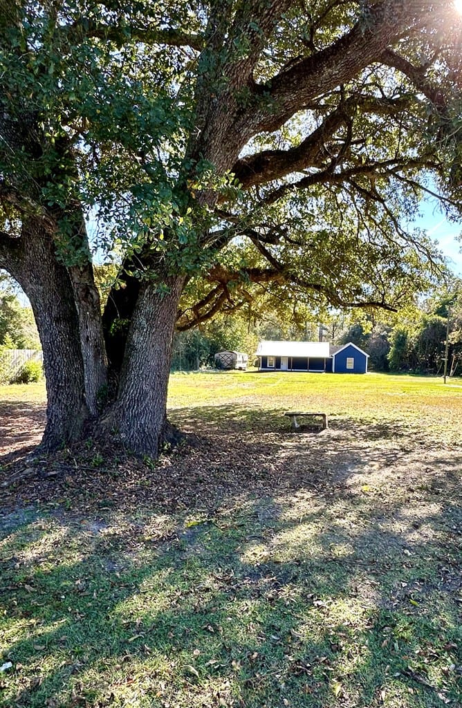 317 Tennyson St, Pelham, GA, 31779 — Photo 2