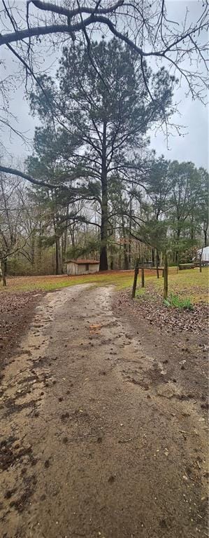 37 Quarles Rd, Pittsview, AL 36871, USA — Photo 2