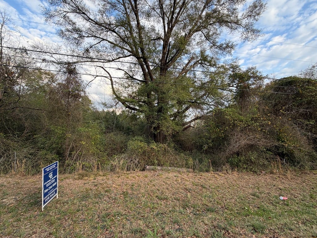 736 Parkhill Drive, Columbus, GA, 31907 — Photo 3