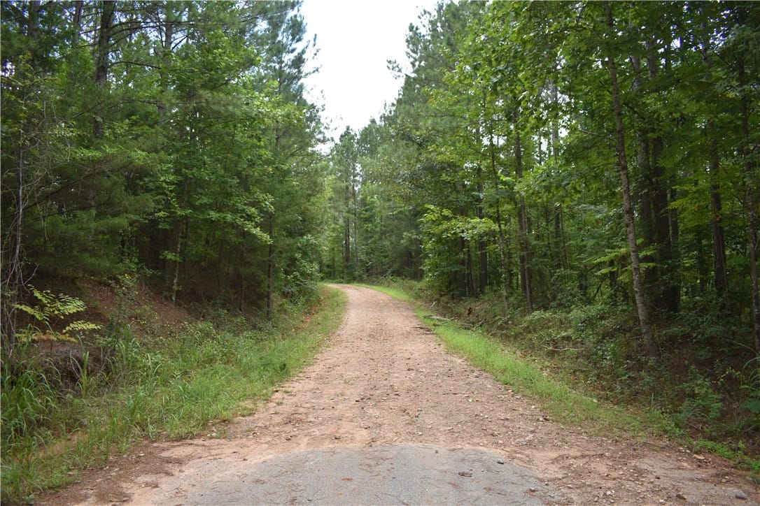94 COUNTY ROAD 94, Lafayette, AL, 36862, Gravel Chambers Co. 95