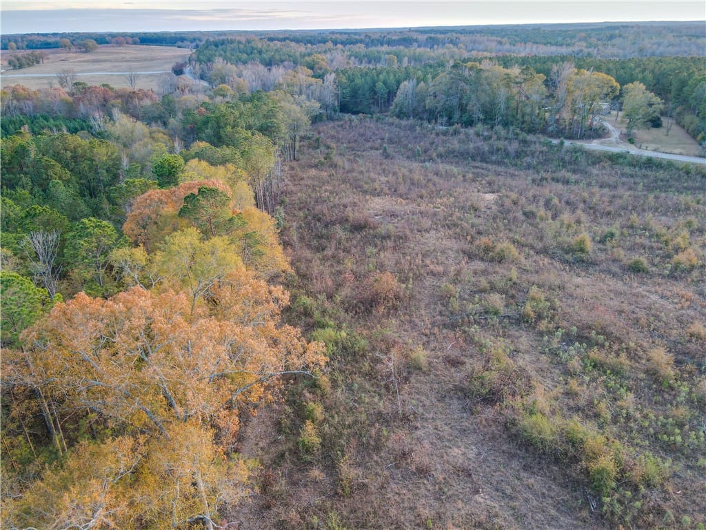 0 COUNTY ROAD 53, Lafayette, AL, 36862