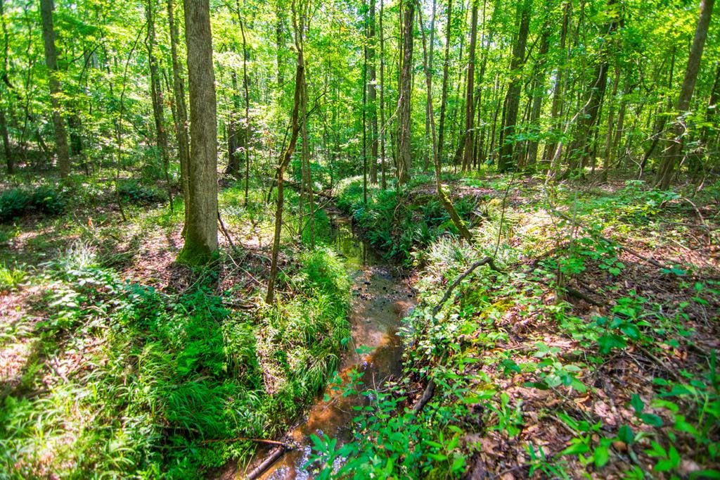 0 Baker Road, Shiloh, GA, 31826