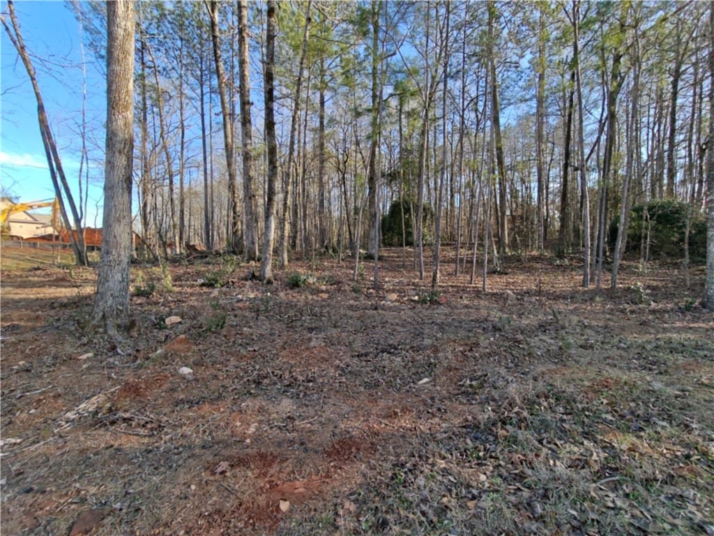 1965 Arrowhead Avenue, Opelika, AL, 36801